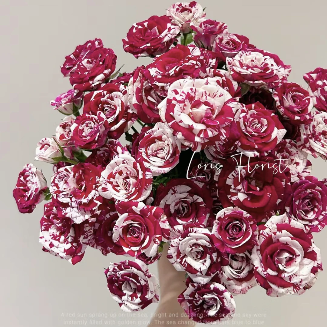 鸳鸯泡泡-多头玫瑰（任意两单包邮，一单需要补运费）