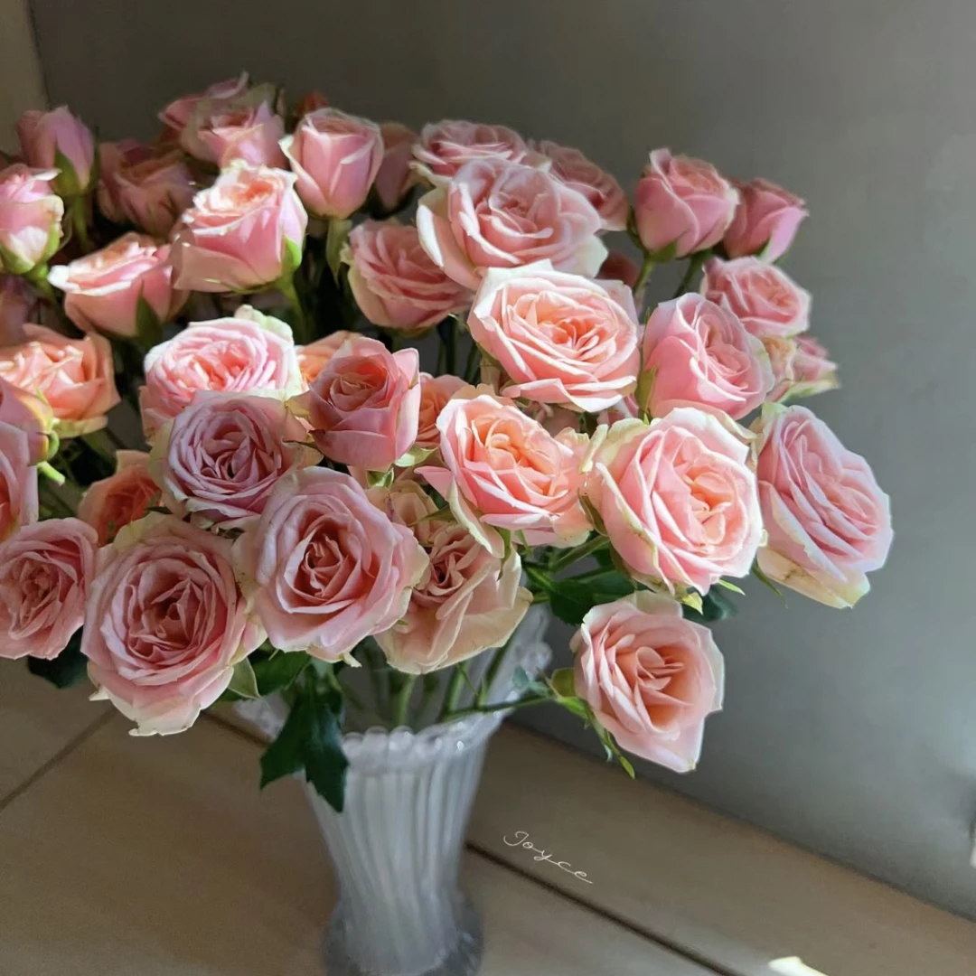 圆舞曲-多头玫瑰（任意两单包邮，一单需要补运费）