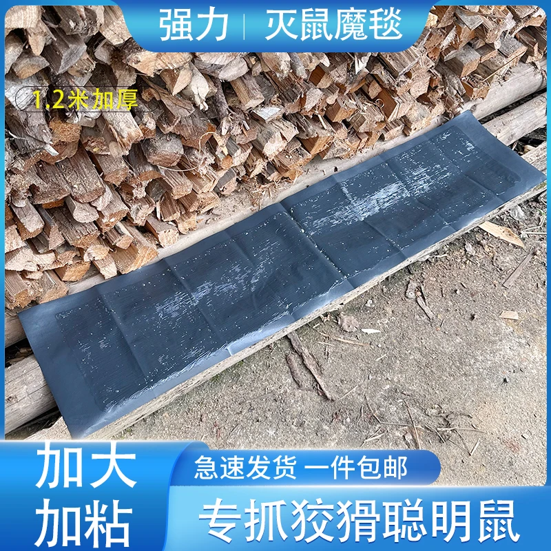 老鼠贴强力粘鼠板超大号灭鼠魔毯驱捉捕沾抓老鼠神器超强家用室内