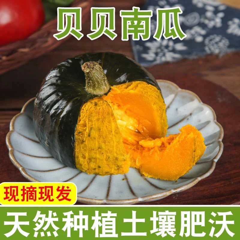 口感贝贝南瓜板栗味软糯香甜孕妇小孩代餐老少皆宜不粉包赔老瓜