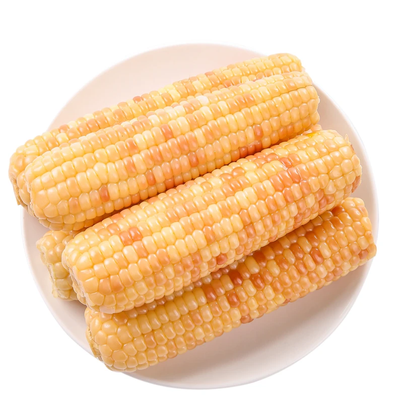 滇枝萃云南西双版纳花糯玉米香糯玉米小拇指玉米糯玉米新鲜玉米
