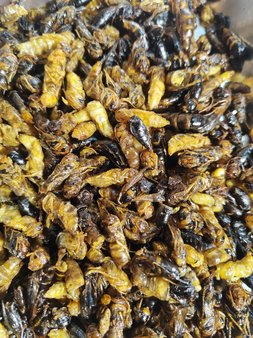 2级4级油炸干蜂蛹，一斤装