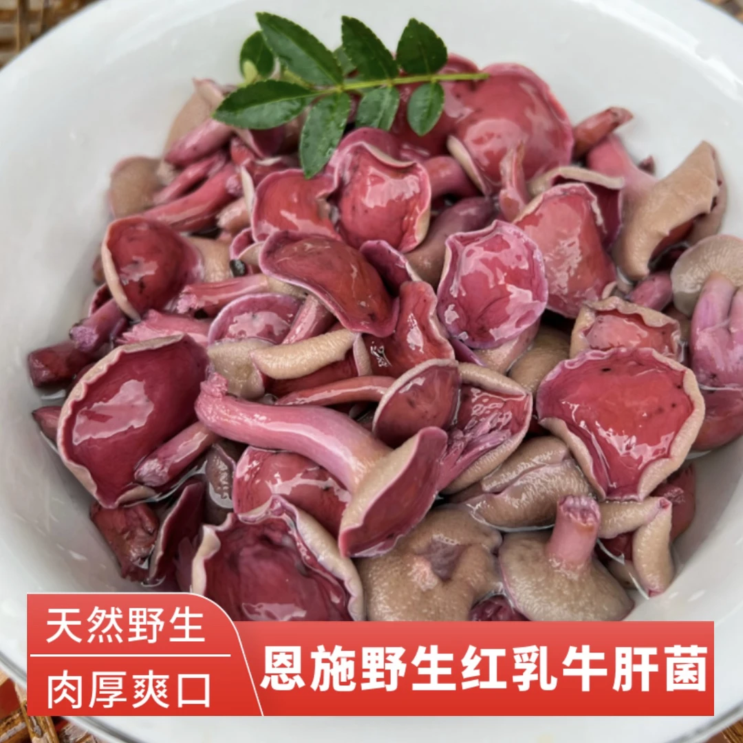 恩施野生红乳牛肝菌蘑菇特产新鲜蘑菇天然野生500g包邮