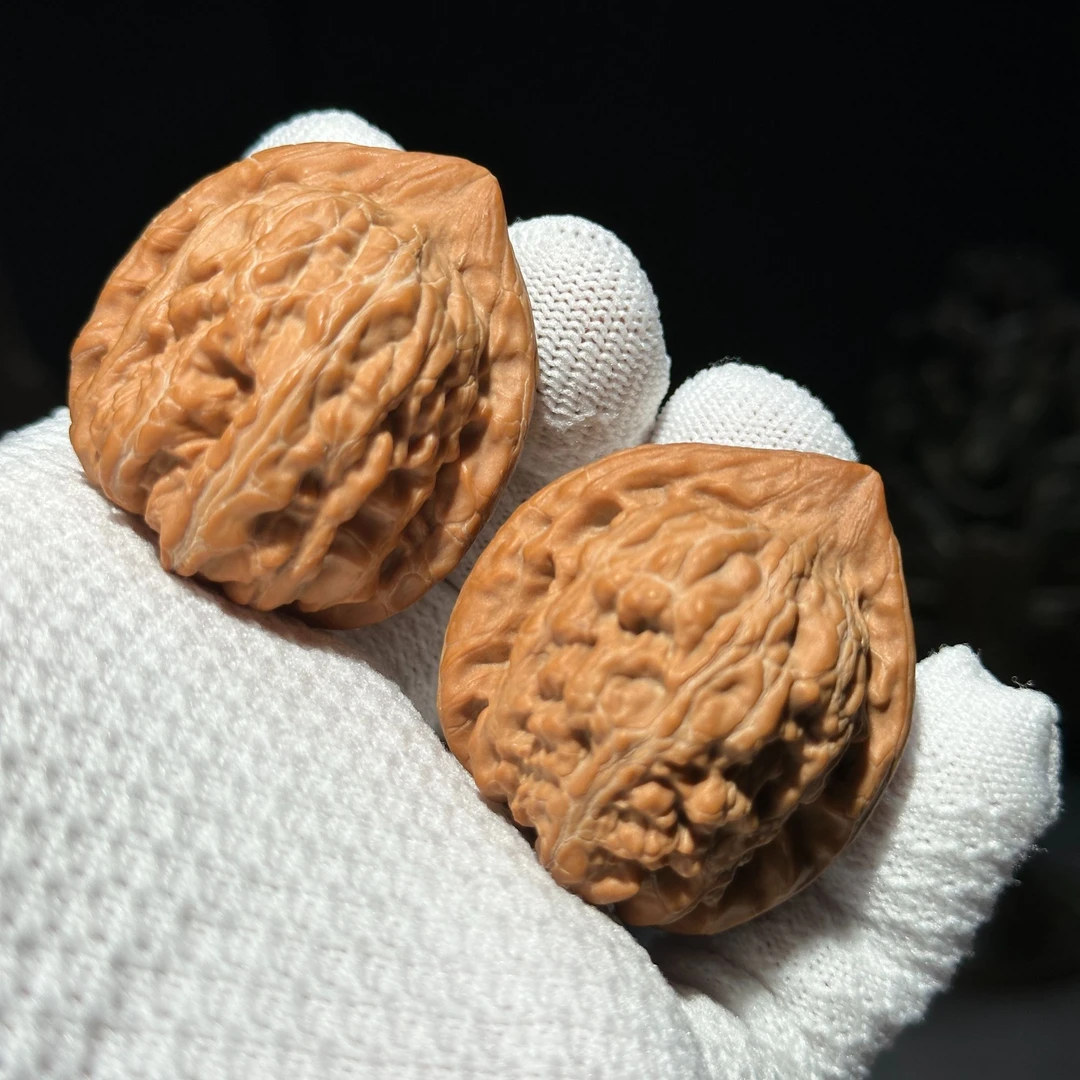 邢台高海拔600+全品无修《赤龙鸡心》