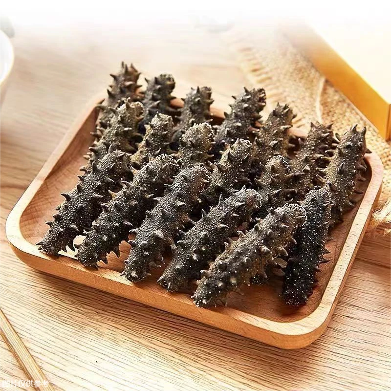 精品海参500g   严选底播刺参辽参大连海参  实惠装一斤18-25头