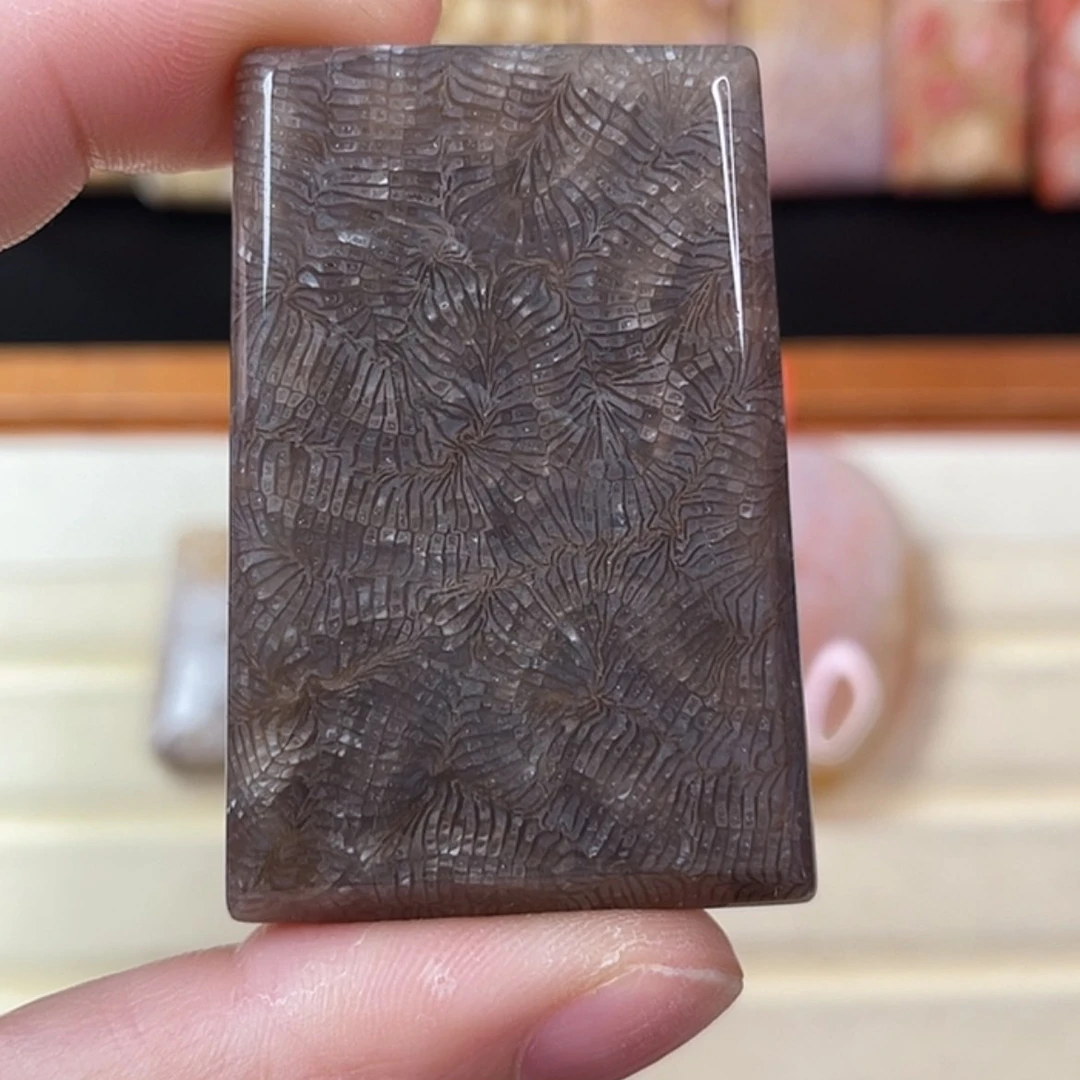 【闪购商品】硅化玉手链未镶嵌