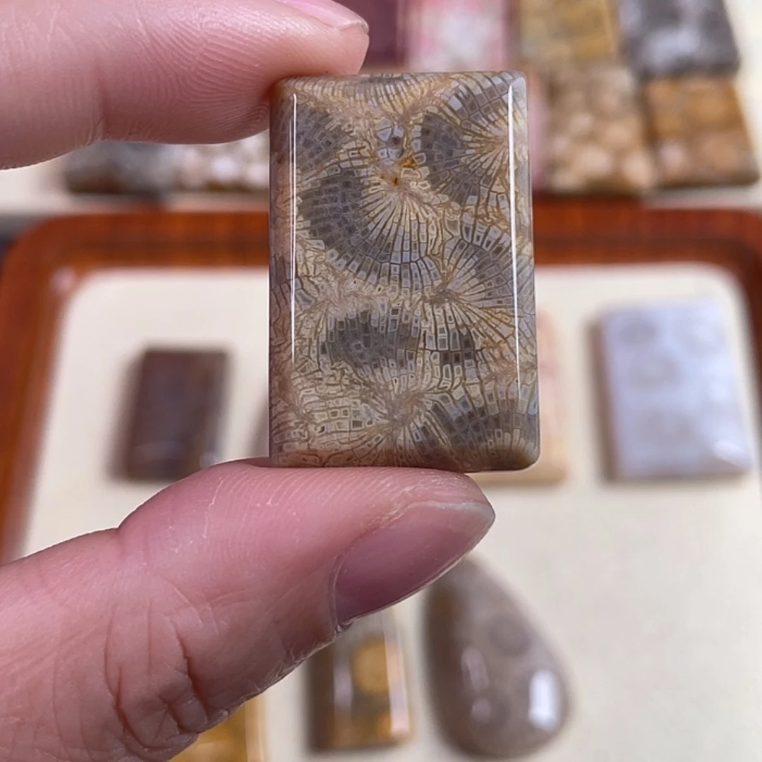 【闪购商品】硅化玉吊坠(赠链)未镶嵌用****1