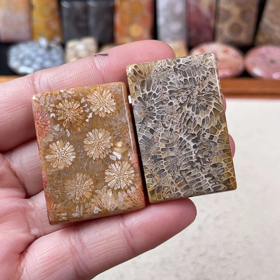 【闪购商品】硅化玉吊坠(赠链)未镶嵌原**茶