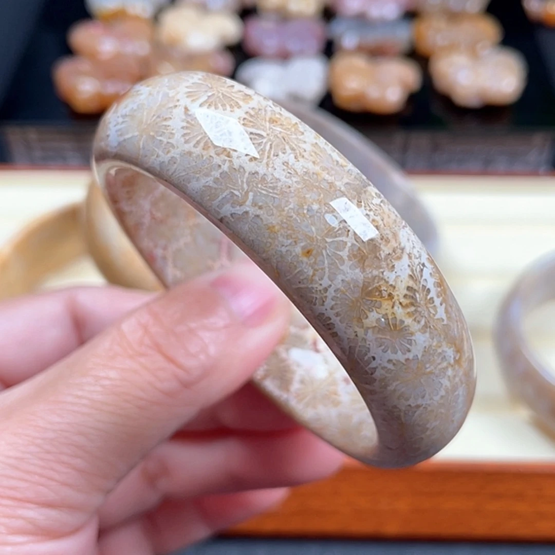 【闪购商品】硅化玉手镯59未镶嵌?****