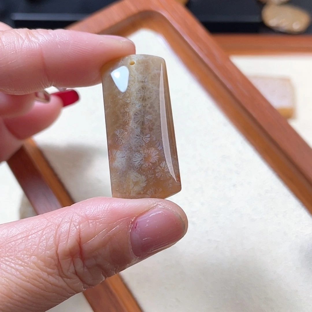 【闪购商品】硅化玉吊坠未镶嵌不****✨