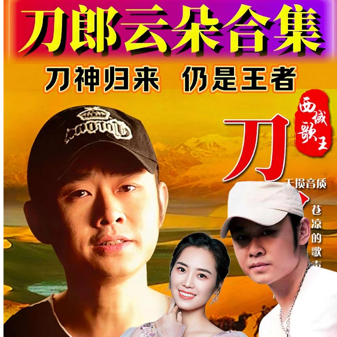 刀郎歌曲专辑音乐盘精选抖音热歌即插即用经典歌曲