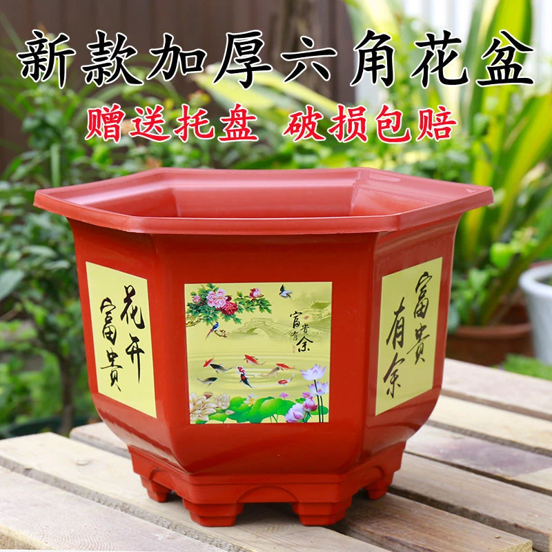 加厚六角塑料花盆大号绿植果树月季君子兰花盆栽包邮