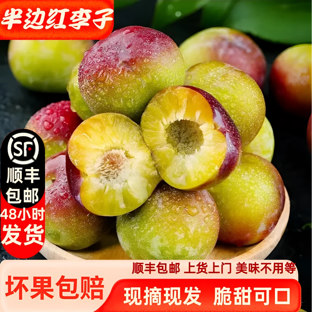 （顺丰专线包邮）精选云南绥江半边红李子脆甜可口坏果包赔5斤