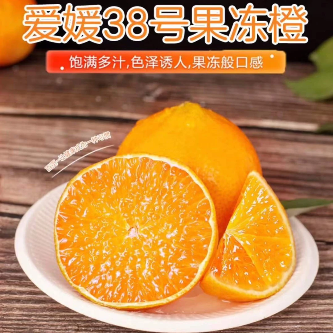 （小白兔专属）四川爱媛38号果冻橙爆汁细嫩化渣新鲜采摘5斤起包邮