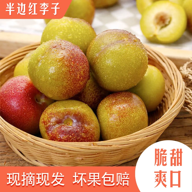 .正宗云南绥江半边红李子脆甜可口产地直发坏果包赔5斤包邮