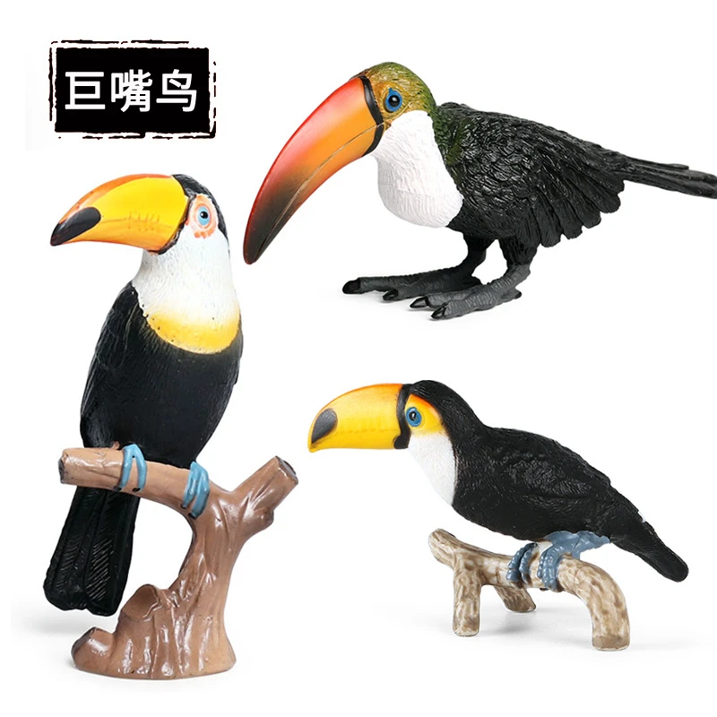儿童玩具仿真鸟类动物模型塑胶摆件认知实心巨嘴鸟大嘴鸟鹦鹉