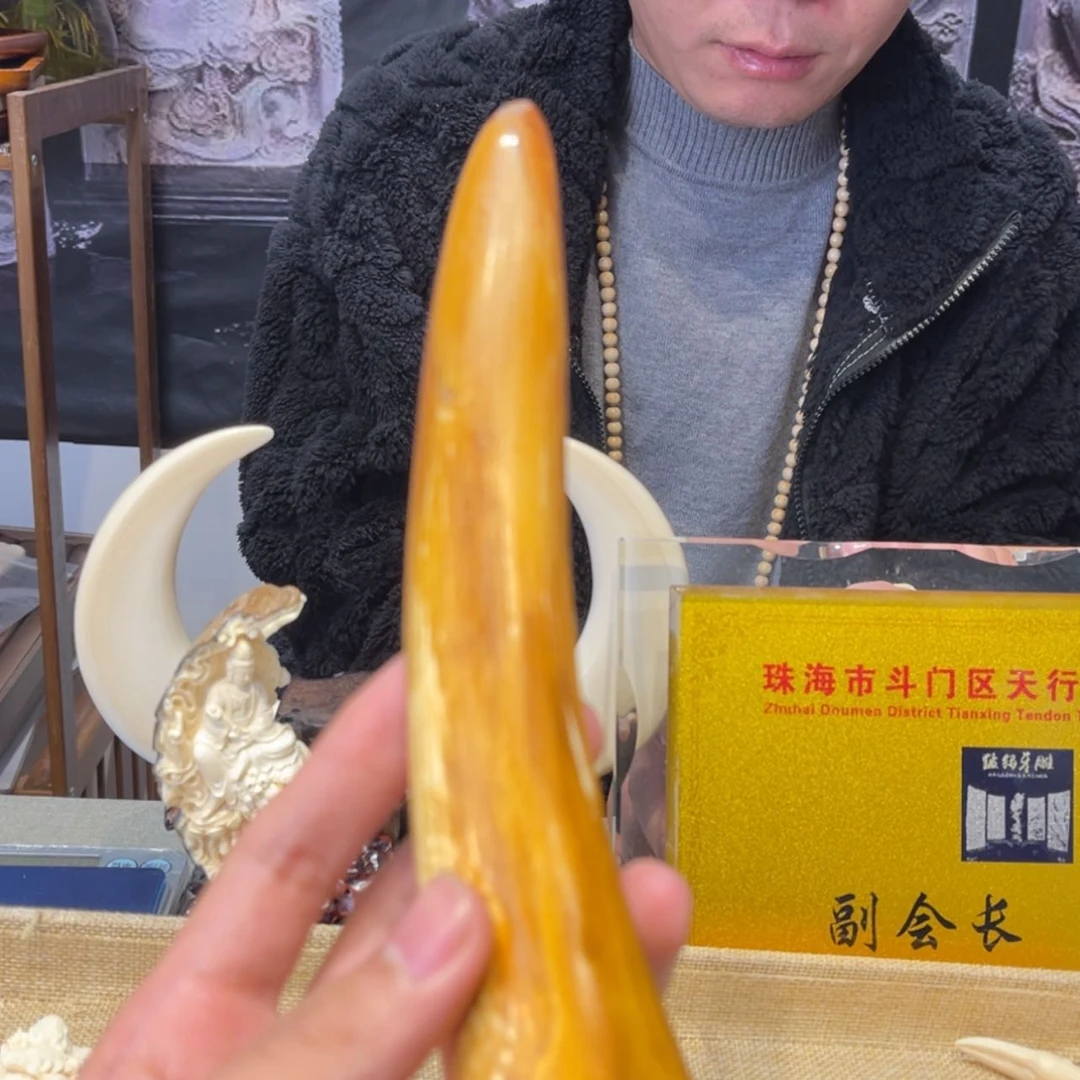 【闪购商品】猛犸根雕R