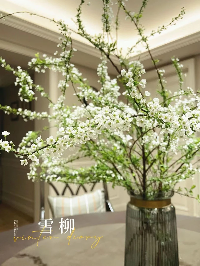 【年宵纳福】用一束花迎接2025年高品质AAA级【雪柳花】网红花小清新