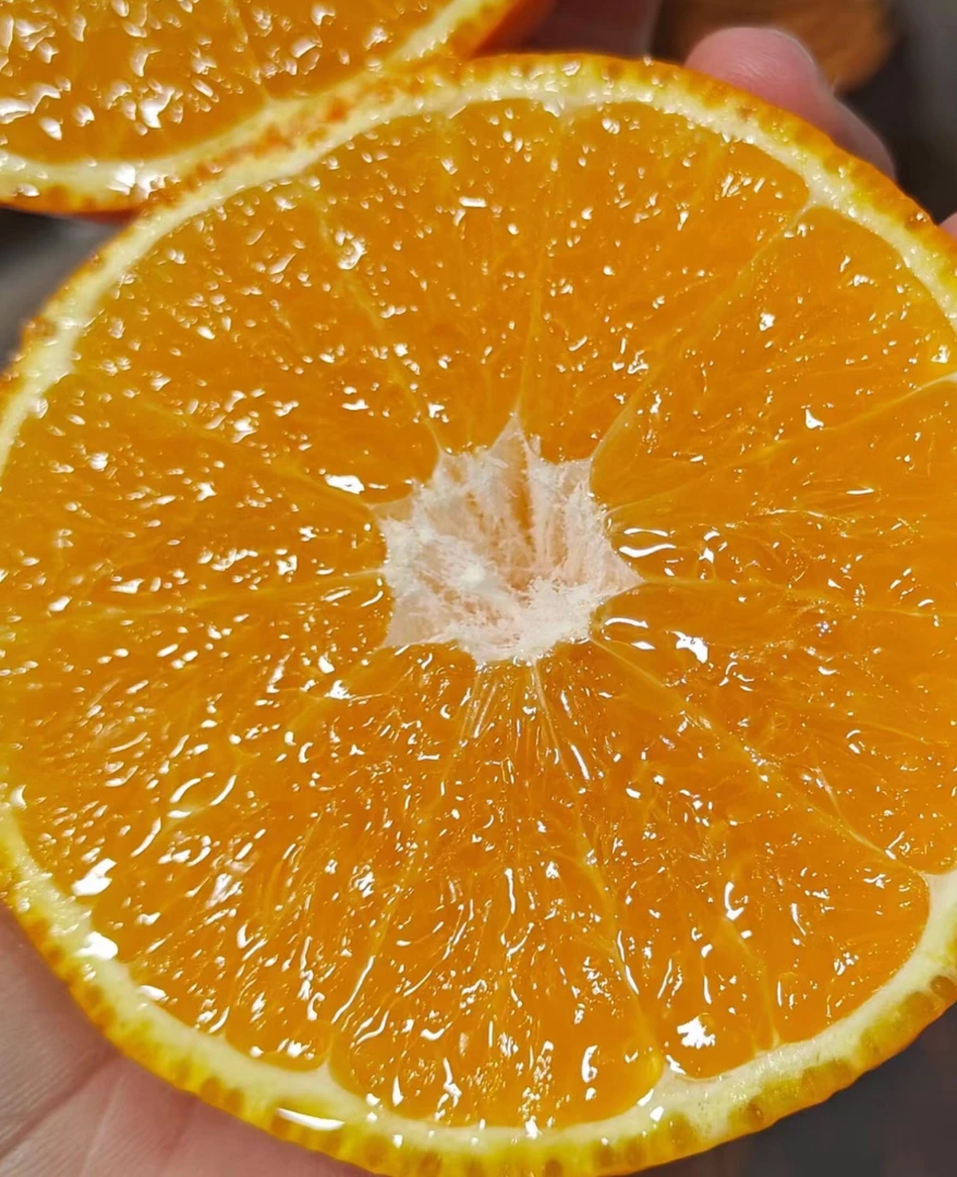 爱媛果冻橙 入口即化 爆汁