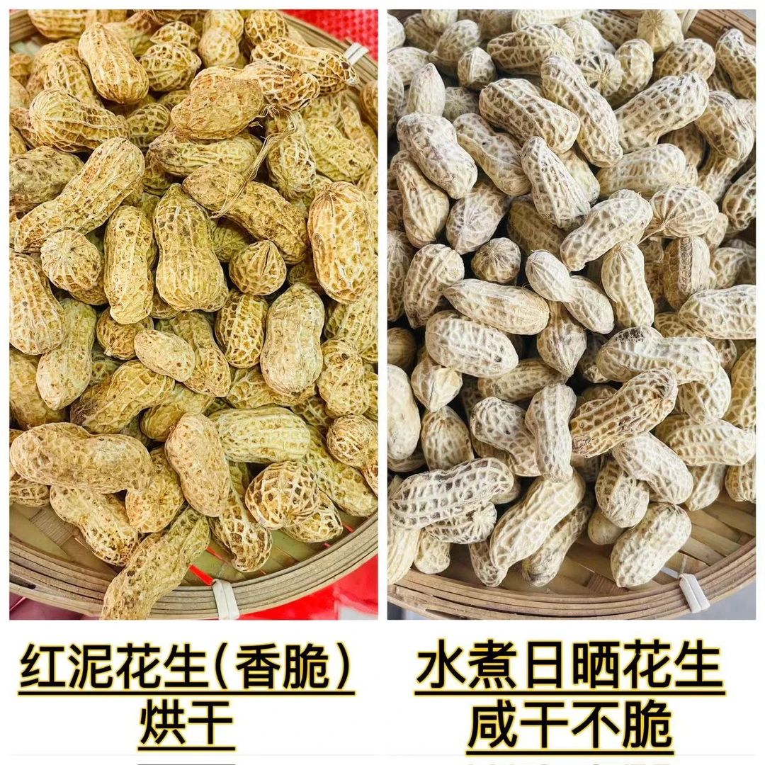 福建土特产2024本地红泥花生/水煮日晒花生3斤/5斤散装