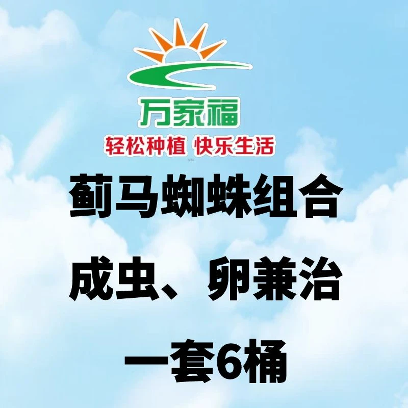 ［蓟马蜘蛛6桶］蓟马蜘蛛全新组合 一套6桶，虫卵双效