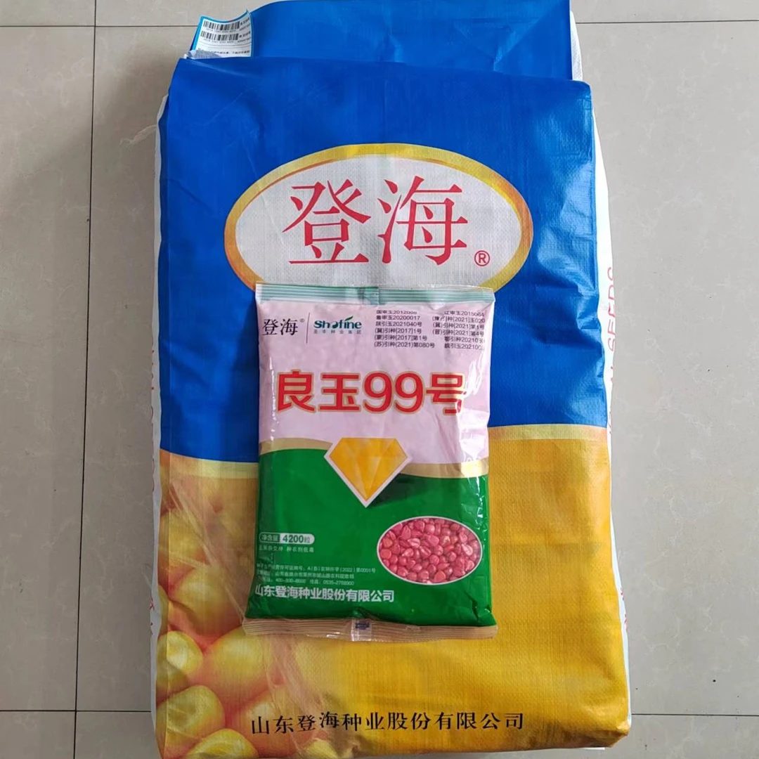 良玉99玉米种1单10袋450元{送肥增效剂5袋/2斤）