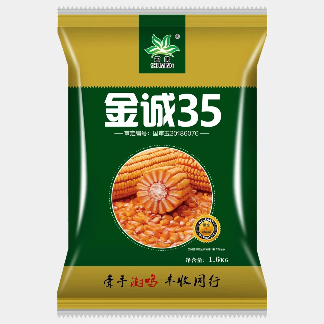 金成35玉米种1袋I.6公斤1单1袋