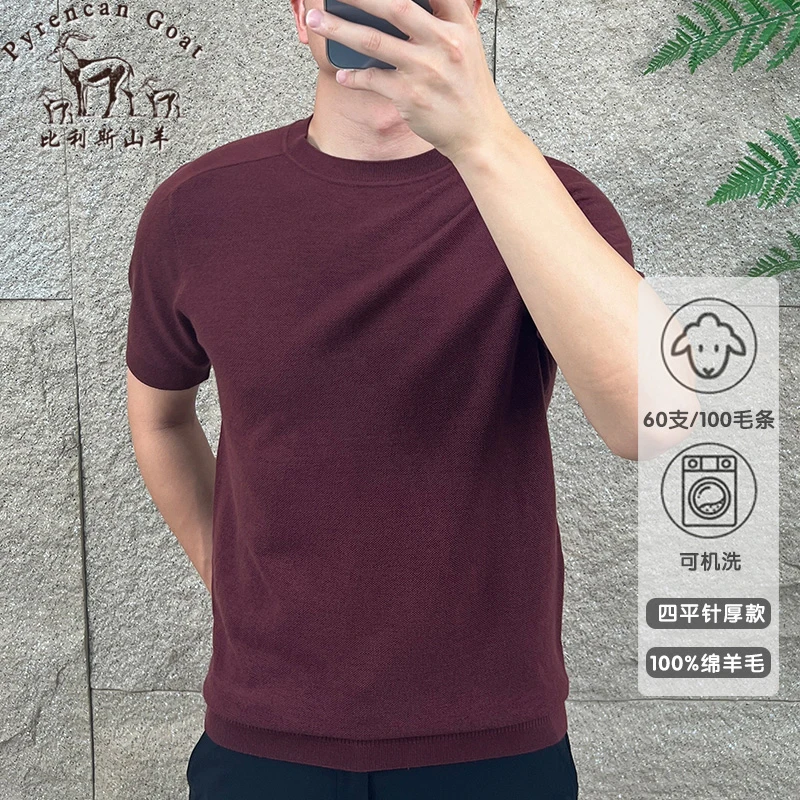 可机洗厚款精纺男士纯羊毛圆领简约百搭时尚打底半袖休闲纯色T恤