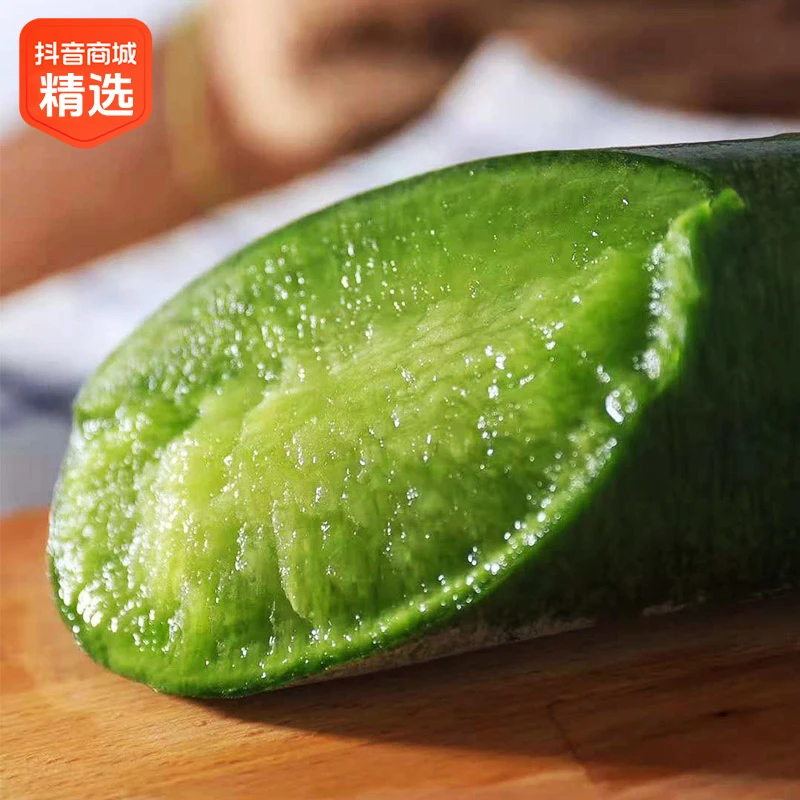 正宗天津沙窝萝卜脆甜生吃网红绿色蔬菜新鲜沙窝萝卜当天现拔特产