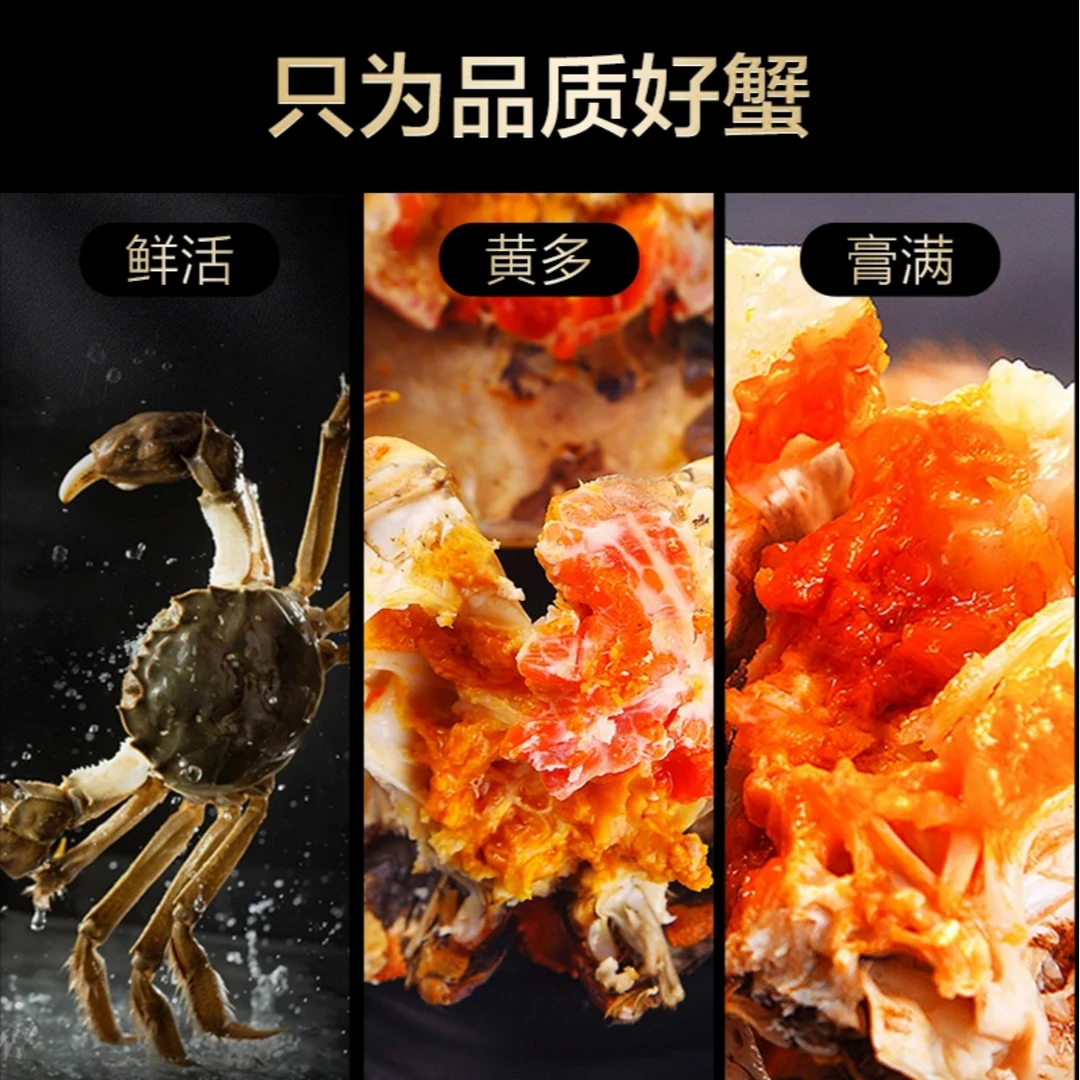 【活蟹公母组合】苏州精品大闸蟹3.0两母+3.0两公4对/5对