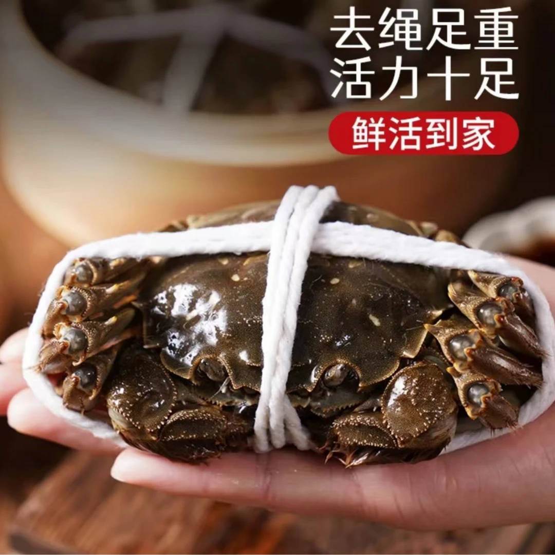 【活蟹全母蟹】苏州精品大闸蟹2两精挑6/8/10只装礼盒发货