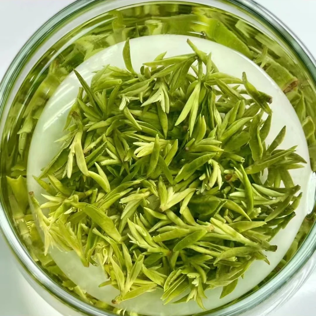 岳西翠兰 特级绿茶 原产地自制手工自制春茶香气