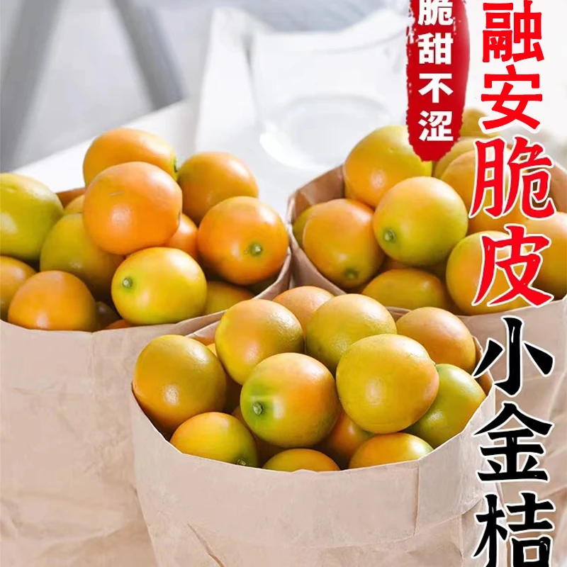 纯甜广西融安金桔1-5斤装脆甜不涩青皮也甜当季新鲜柑橘橙子水果