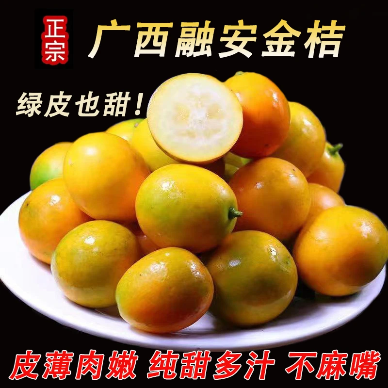 【青皮也甜】广西融安金桔1-5斤装 新鲜柑橘水果现摘脆甜不麻嘴生鲜