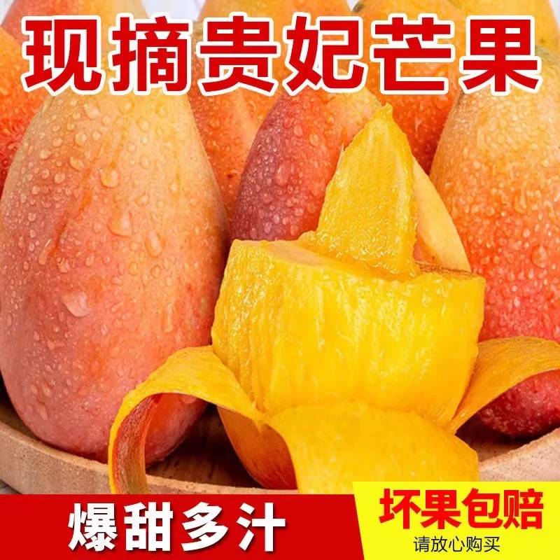 广西贵妃芒果5斤装 果肉饱满香甜细腻产地水果百色芒果ZY
