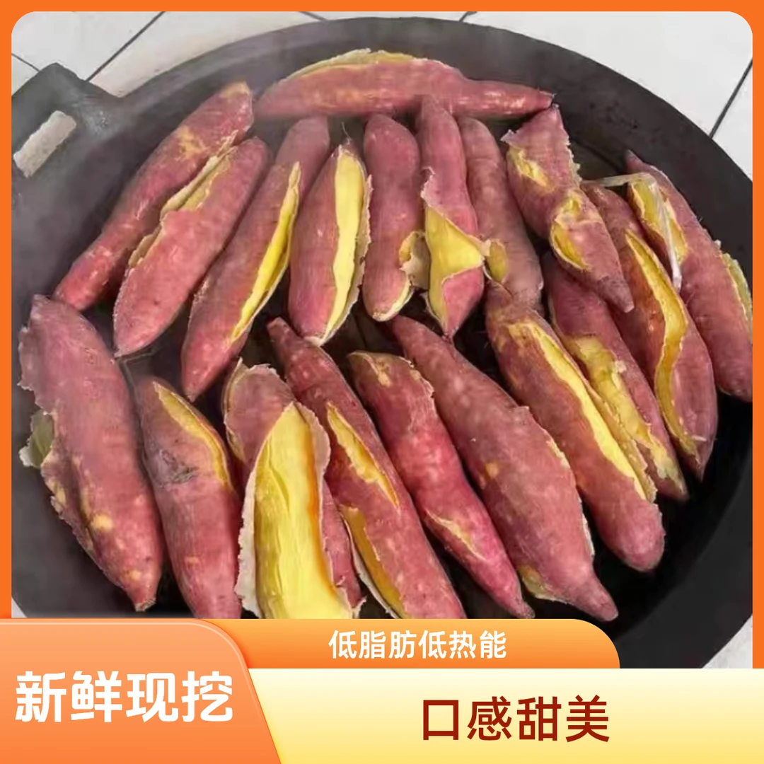陕西沙地板栗红薯新鲜黄白心粉糯地瓜番薯3热量香甜/5/10斤小香薯