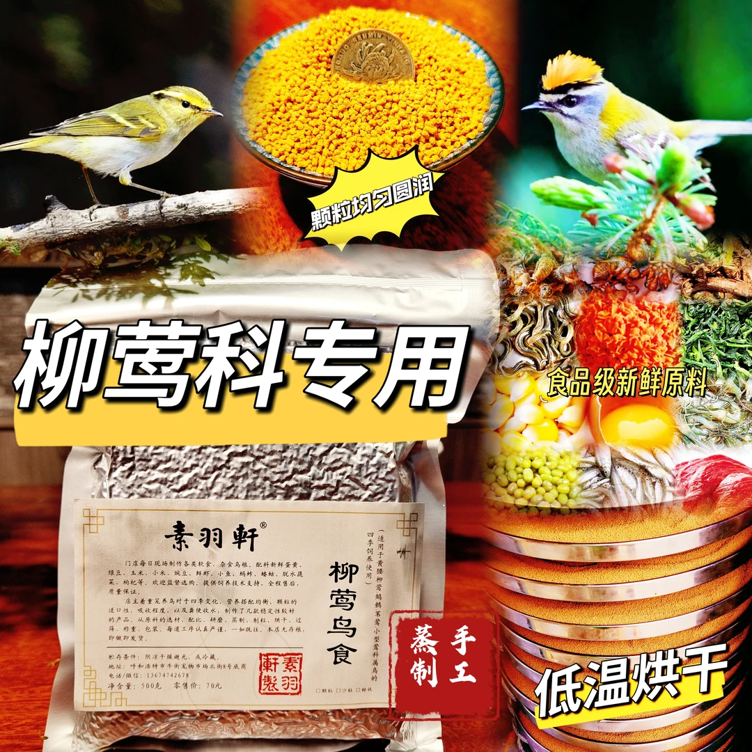 素羽轩柳莺鸟食黄腰柳莺鹪鹩通用