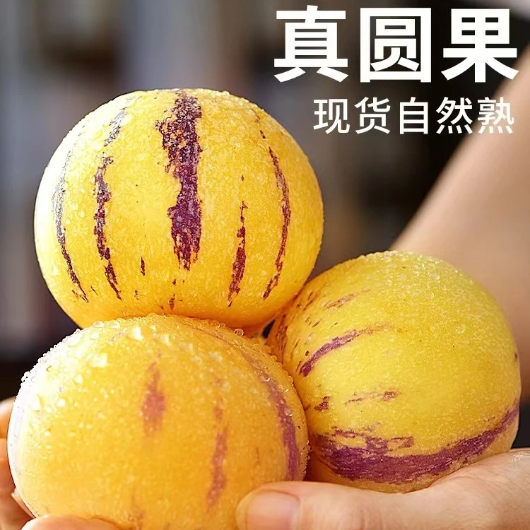 云南石林人参果大果黄果快递包邮新鲜当季孕妇水果成熟多汁人生果