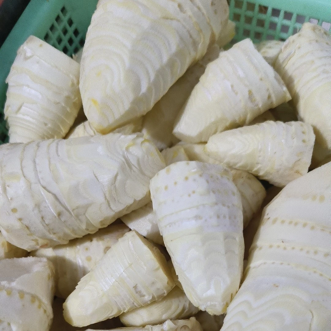 新鲜现剥冬笋肉去壳冬笋