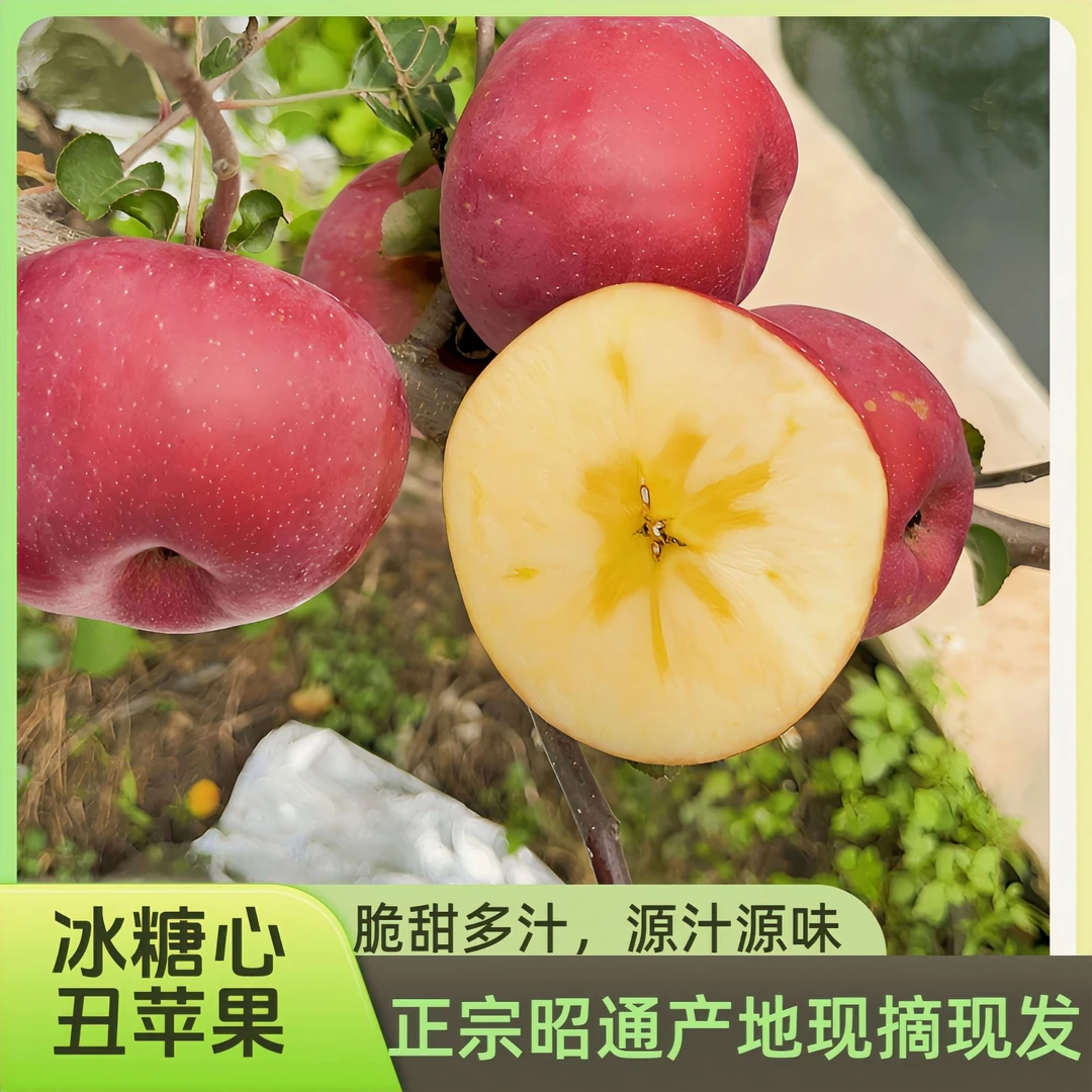 正宗云南昭通冰糖心丑苹果孕妇水果产地自家果园现摘现发脆甜多汁