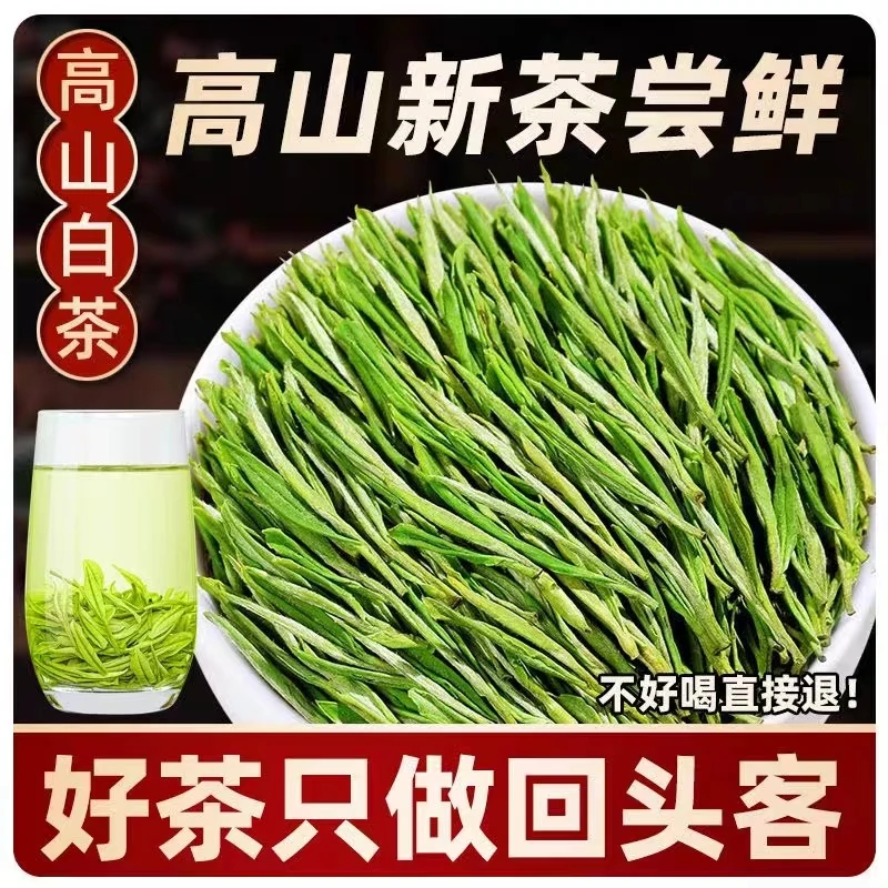 【新茶白茶春茶】原产地新茶绿茶香兰花香茶叶好茶送礼罐装鲜嫩罐装