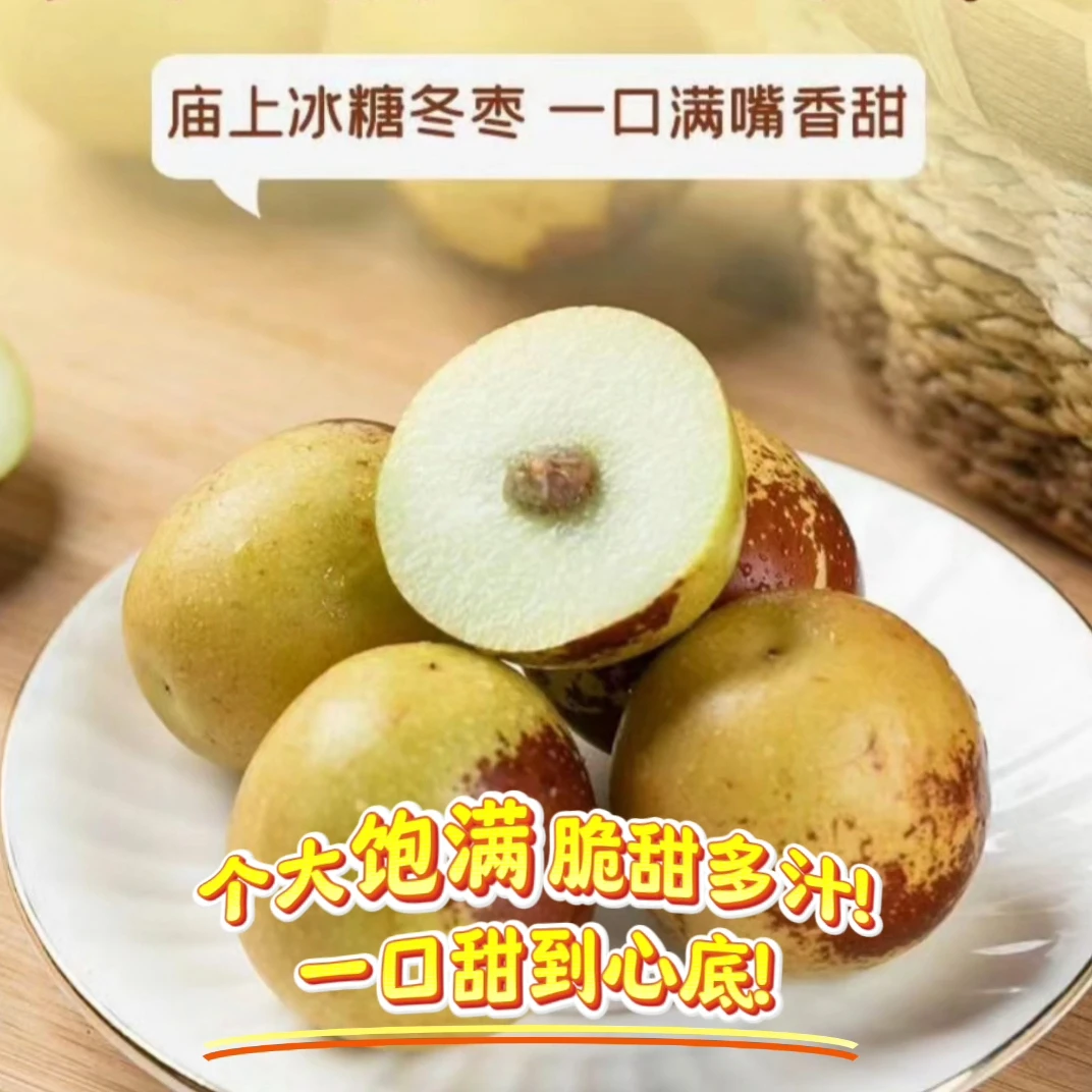 山西庙上冬枣吃起来嘎嘣脆