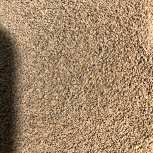 38号下沉类型高蛋白小颗粒金鱼饲料50克（适合3厘米以上金鱼使用）