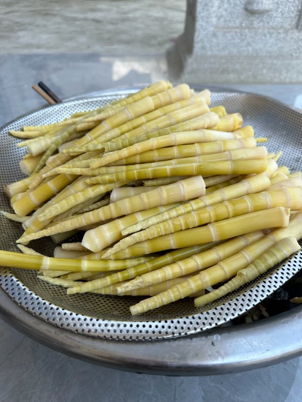 云南镇雄高山野生罗汉笋