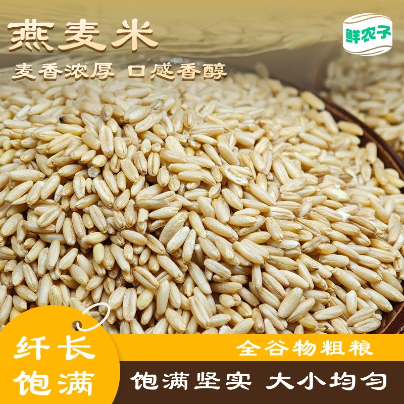 新燕麦米小包装燕麦粒农家自产五谷杂粮健康粗粮胚芽米当季新粮