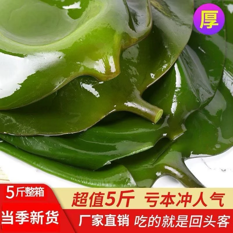 盐渍3-4月份海带小头大连特产【发带箱五斤】