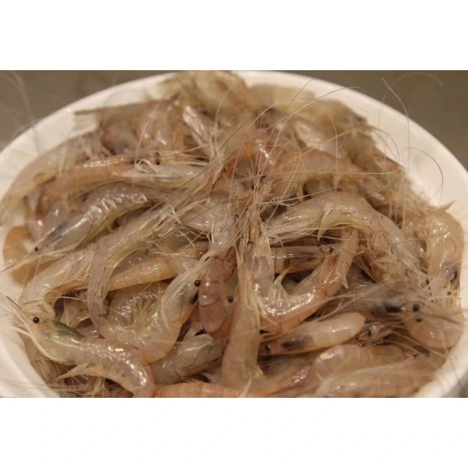 连云港发货 新鲜小白虾 干煸小白虾/椒盐小白虾/生炝小白虾