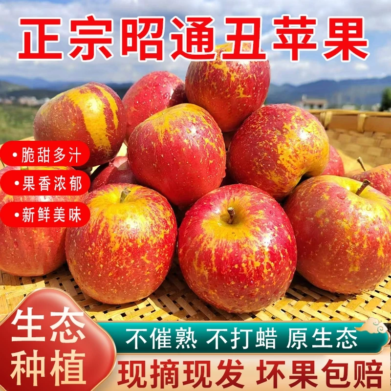正宗昭通丑苹果冰糖心苹果现摘现发脆甜多汁好吃水果苹果