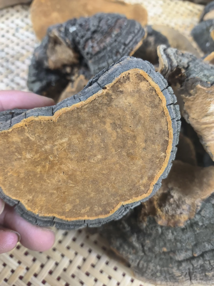 深山老林@农家嗓黄