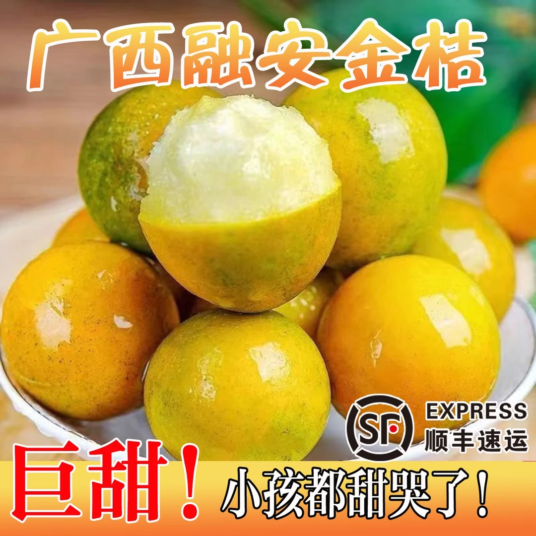 广西融安金桔滑皮金桔新鲜水果桂林脆皮金桔香甜少核金桔现摘现发